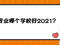 空乘專業(yè)哪個學校好2021？