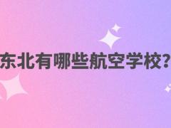 東北有哪些航空學(xué)校？