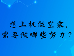 想上機(jī)做空乘，需要做哪些努力？