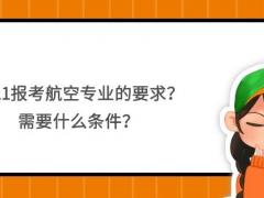 2021報(bào)考航空專(zhuān)業(yè)的要求？需要什么條件？