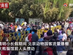 清明小長(zhǎng)假迎出游高峰；滬寧城際高鐵晚點(diǎn)；蕭山機(jī)場(chǎng)無人機(jī)致航班無法降落