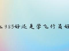 上985好還是學(xué)飛行員好？