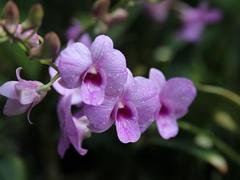 航空服務(wù)專業(yè)出來(lái)可以干什么工作？