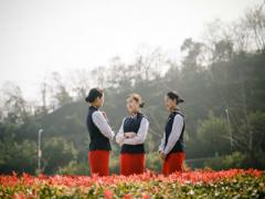 什么樣的學(xué)生適合學(xué)空姐？